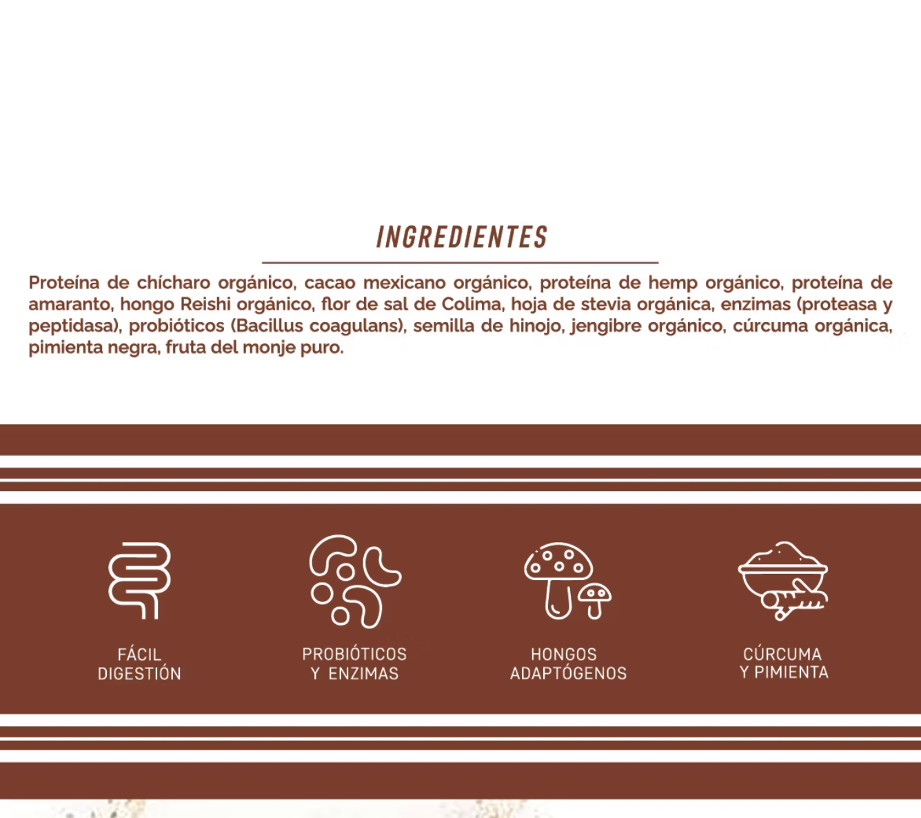 ORIGEN-Proteína Vegetal Cacao