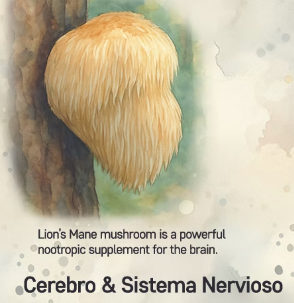 ORIGEN-Tintura de Melena de León